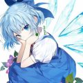 Profile photo of Chiru Cirno