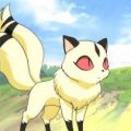 Profile photo of Kirara