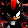 Profile photo of Shadow the Hedgehog (Seselis)