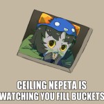 Profile photo of Nepeta 'NeppyNeppyJoyJoy' Leijon