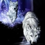 Profile photo of shadowwolfgirl888
