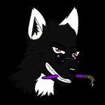 Profile photo of DarkWolfBlade