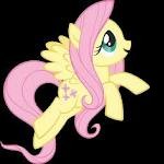 Profile photo of Fluttershy