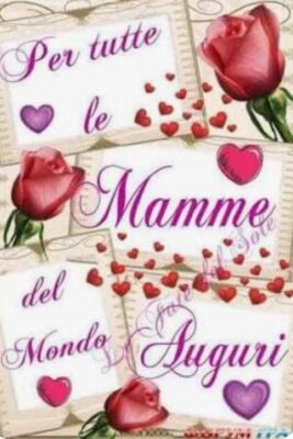 Screenshot_20250511-120830_Google