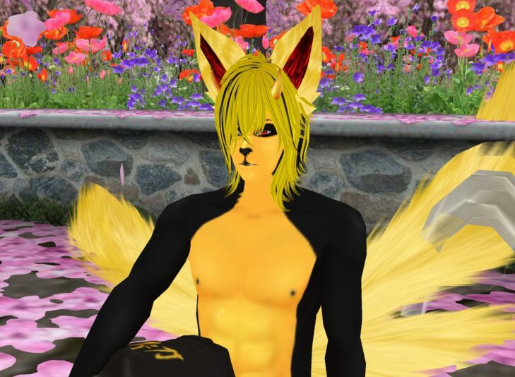 kinzoukitsunegardenimvu