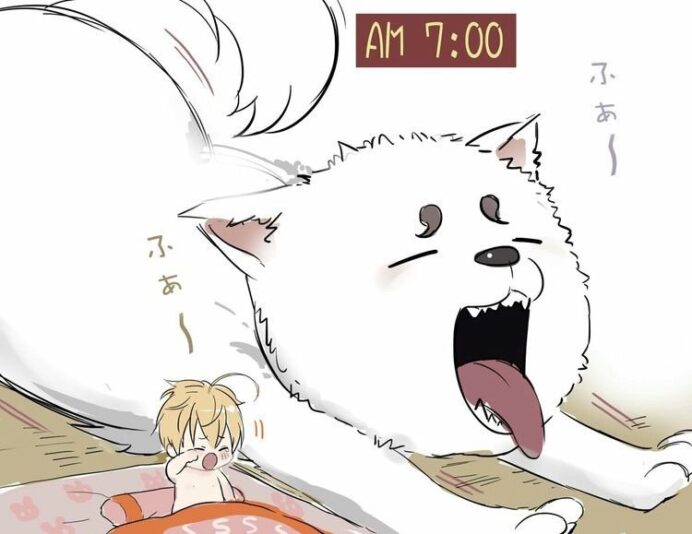 a543ab2cc8cbfc951d477b7897af58513cb35a53v2_hq