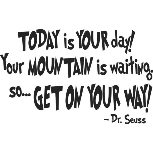 Dr-Seuss-TODAY-iS-YOUR-day-Your-font-b-MOUNTAIN-b-font-is-wa