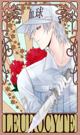 leuko.__white_blood_cell_and_u_1146_hataraku_saibou_drawn_by_bou_maimoca501__1a98e225b834b73f3d0dc6681c730f24