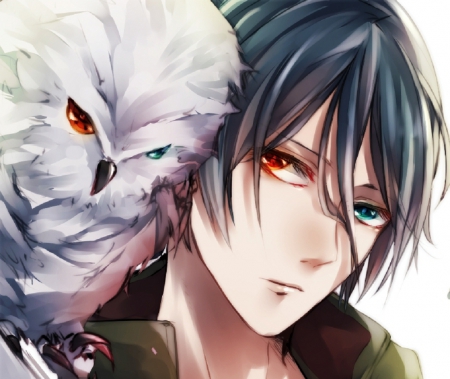 1940999-bigthumbnail