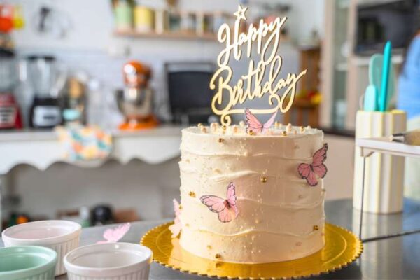 butterfly-cake_6647696a77ab4