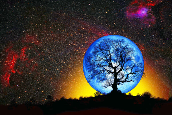Silhouette,Of,A,Big,Mighty,Oak,Against,Blue,Moon"elements,Of