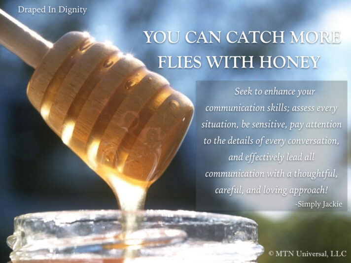 YOU-CAN-CATCH-MORE-FLIES-WITH-HONEY.001