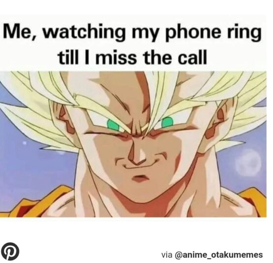 Screenshot_20250502-205445_Samsung Internet