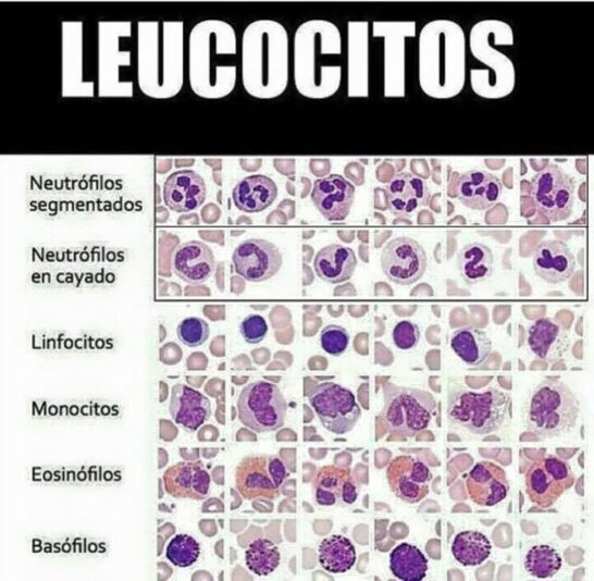 8e095f603134f866376e1a55978e4dff