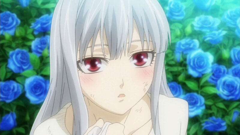 Valkyria Chronicles - 16 - Large 05