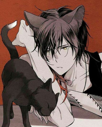 31739217_967901066702606_198719546851328_n