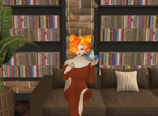 demonaminibookstoreakiba