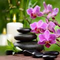 Group logo of SugarSprings Wellness Retreat (Purple Orchid Spa)